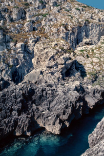 Nature, Italy, region of Puglia 1975 Costa del Salento (Salento coast).