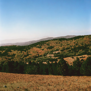 Nature, Italy, region of Calabria 1975 Sila Piccola (Little Sila).