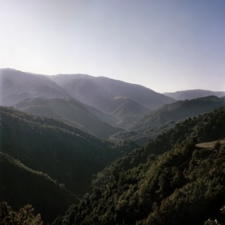 Nature, Italy, region of Calabria Serre Calabresi (Calabrese Greenhouses).
