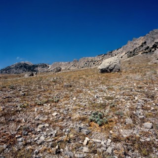 Nature, Italy, region of Sicilia 1975 Le Madonie (Tne Madonie).