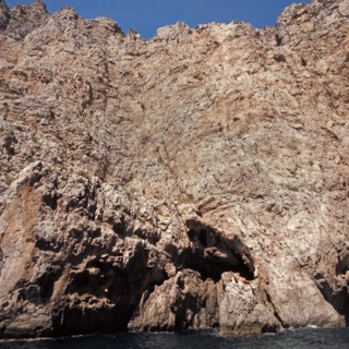 Nature, Italy, region of Sicilia 1975 Isole Egadi, Isola di Marettimo (Egadi Islands,  Marettimo