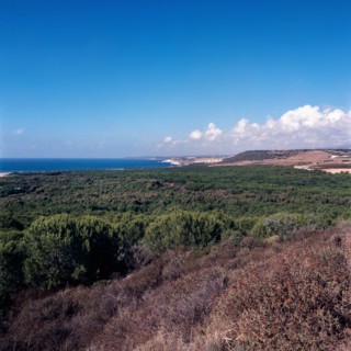 Nature, Italy, region of Sardegna 1975  Costa Occidentale Coruna Niedda - Is Arenas (West Coast