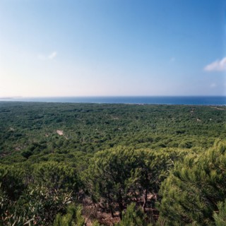 Nature, Italy, region of Sardegna 1975  Costa Occidentale Coruna Niedda - Is Arenas (West Coast