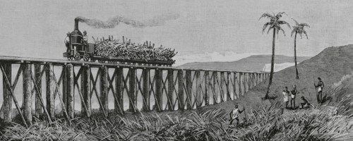 Mackay, Australia. Eastern coast of Queensland. Sugar cane production. Steam train for transporting
