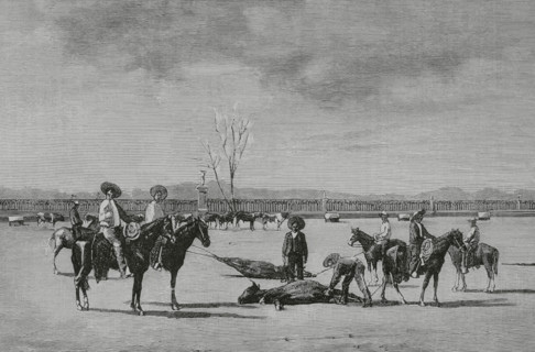 Mexico. Castration of calves on a ranch. Engraving. The Spanish and American Illustration (La