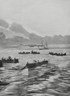 Spain. Sardine fishing off the Galician coast. Drawing by A. de Caula. Engraving by Arturo