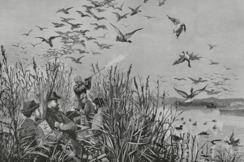 History of Spain. Royal hunt in the Daimiel lagoons. King Alfonso XII (1857-1885) in the act of