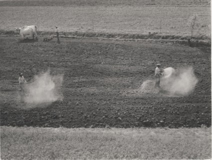 Planting season