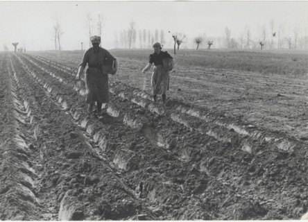 Planting season