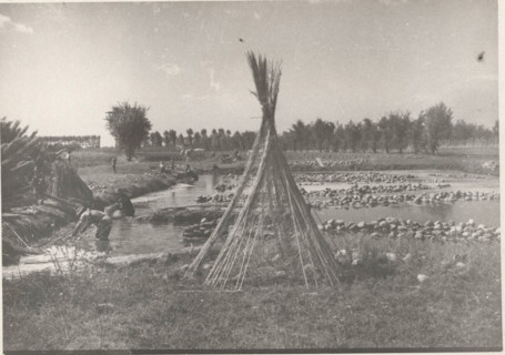 Hemp maceration