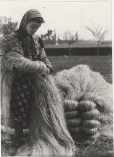 Hemp processing