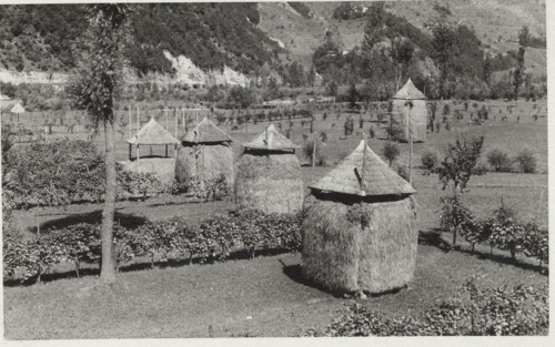 Haystacks