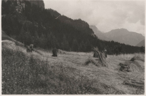 Harvesting