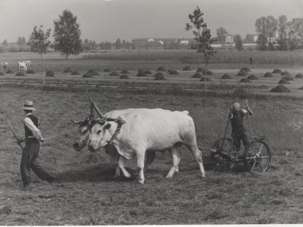 Harvesting