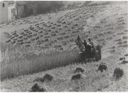 Harvesting