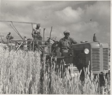 Harvesting