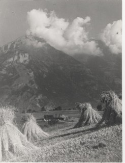 Hay bales in Sauze d'Oulx