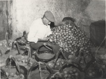 Lemon warehouse in Acireale, Sicily.