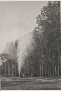 Poplar groves use of pesticides with atomizers