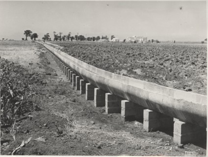 Land reclamation works near Paestum
