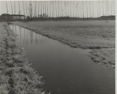 A ditch irrigating a field