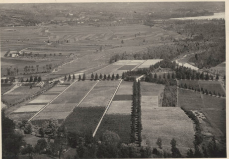 Celarda nursery. Feltre, Italy.