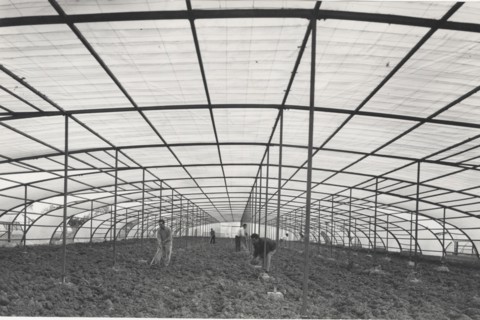 Greenhouse made with plastic materials