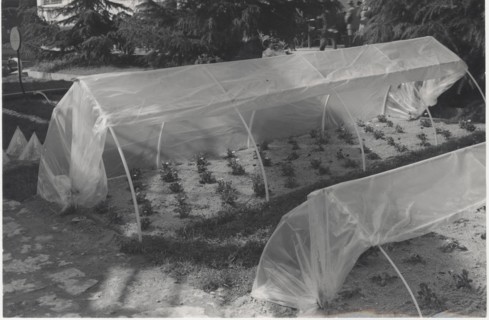 Greenhouse made with plastic materials