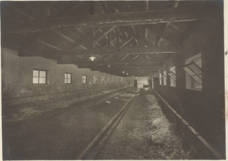 Experimental Mountain pasture the stable