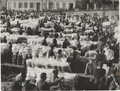 Flower market in Sanremo