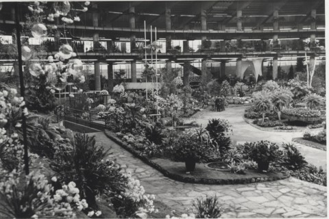 Genova Euroflora