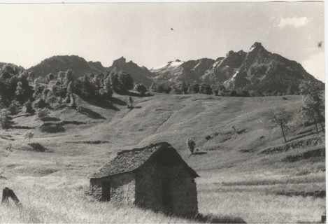 Mountain pasture