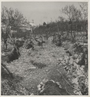 Alluvial landslide