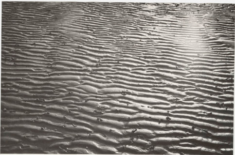 Low tide on Marina di Ravenna beach