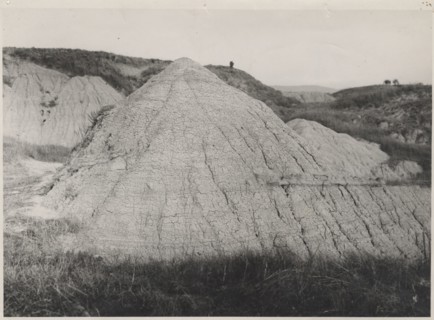 Pliocene clays