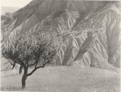 Badlands. Rocca Imperiale, Italy,