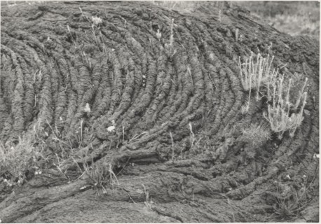 Lava flow on Vesuvius slopes