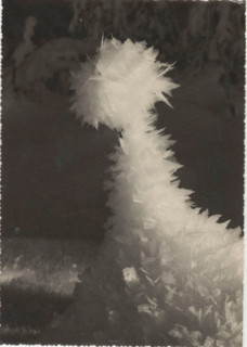 Frost
