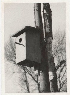 A net box