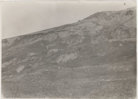 Petralia Sottana, the fields after deforestation works