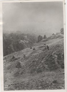 Land reclamation works the removal of stones and grit from a mountain pasture