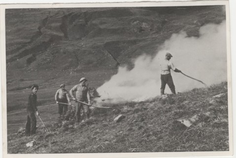 Land reclamation works deforesting a mountain pasture