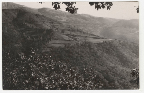 Land reclamation works in Val di Lima