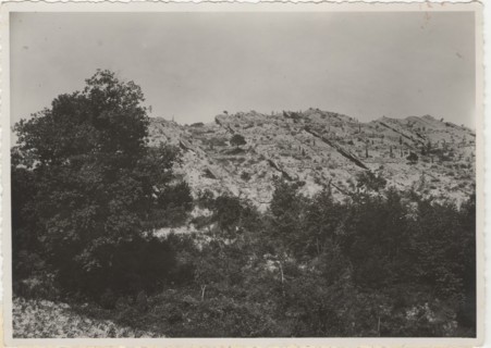 Mount Puccio reforestation works