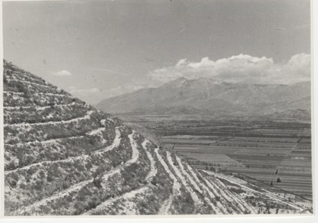 Luco dei Marsi reforestation