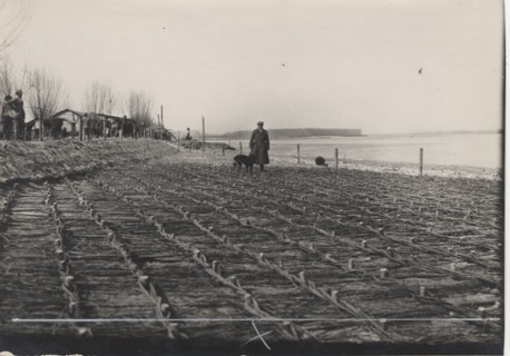Po River land reclamation works