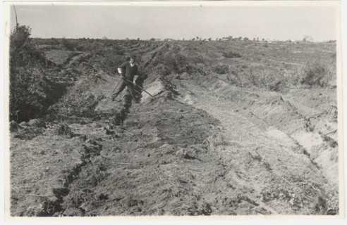 Reforestation works