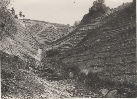 Land reclamation works