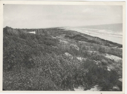 Dune fixation works. Siracusa, Sicily, Italy