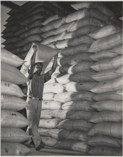 Coffee warehouse